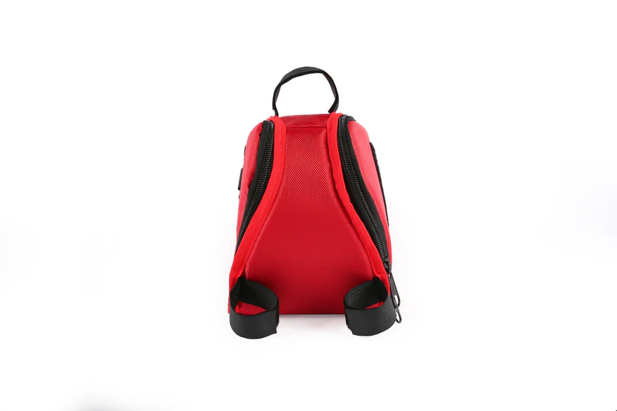 Medium Pizza Bag for the EMOVE Roadrunner Pro